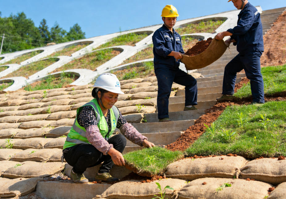 中山植生袋护坡